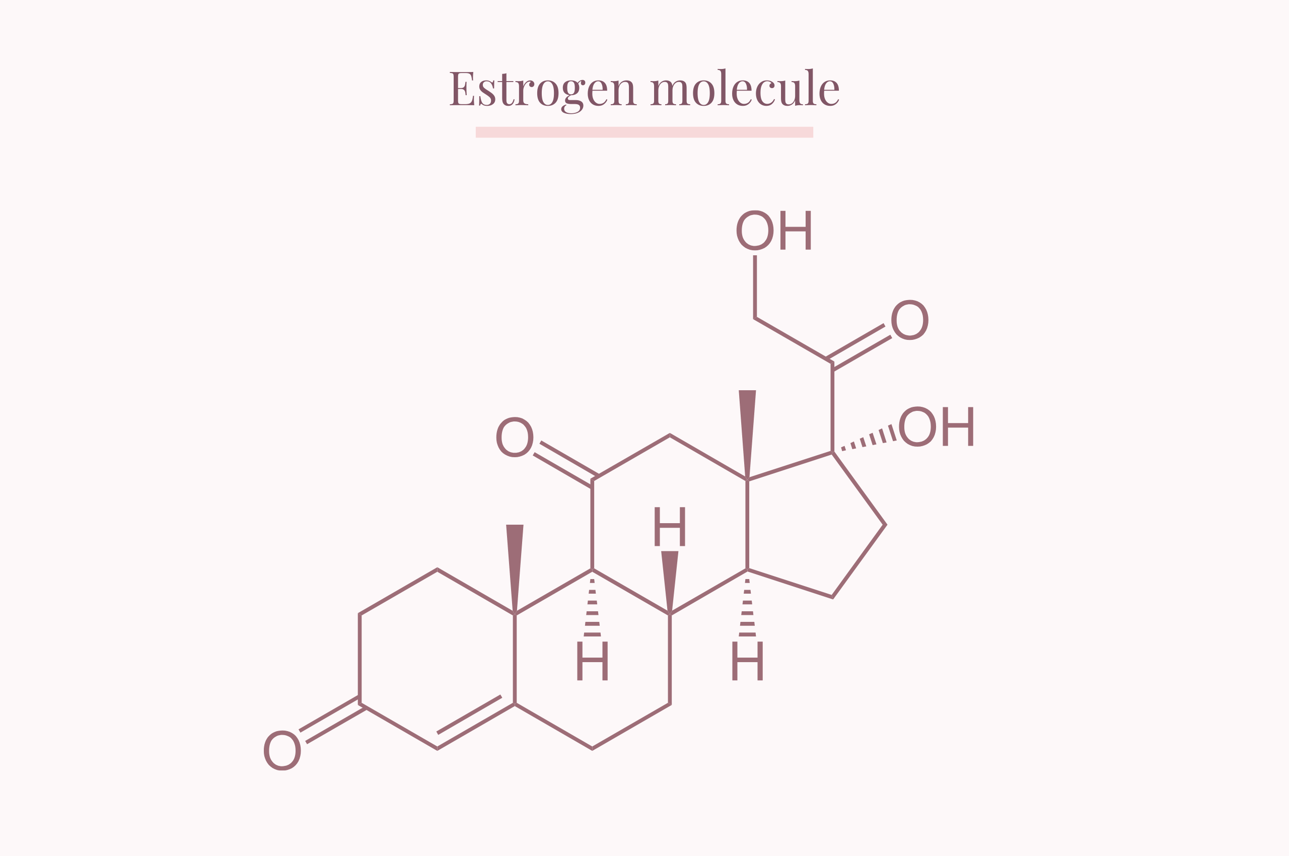 Estrogen molecule drawing